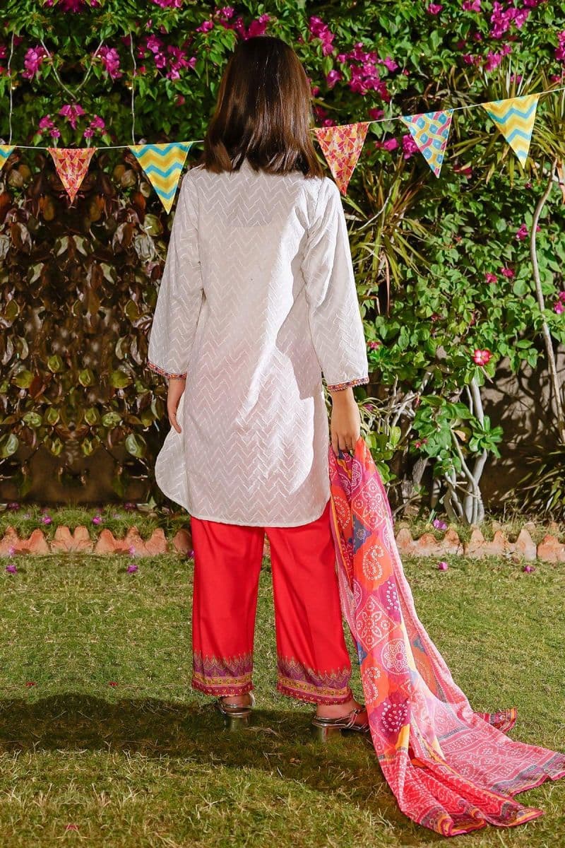 Chikankari Embroidered 3 Pc Suit thumbnail