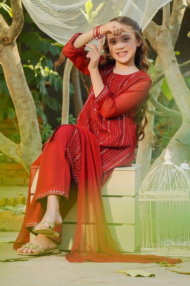 Chiffon Embroidered 3 Pc Suit thumbnail