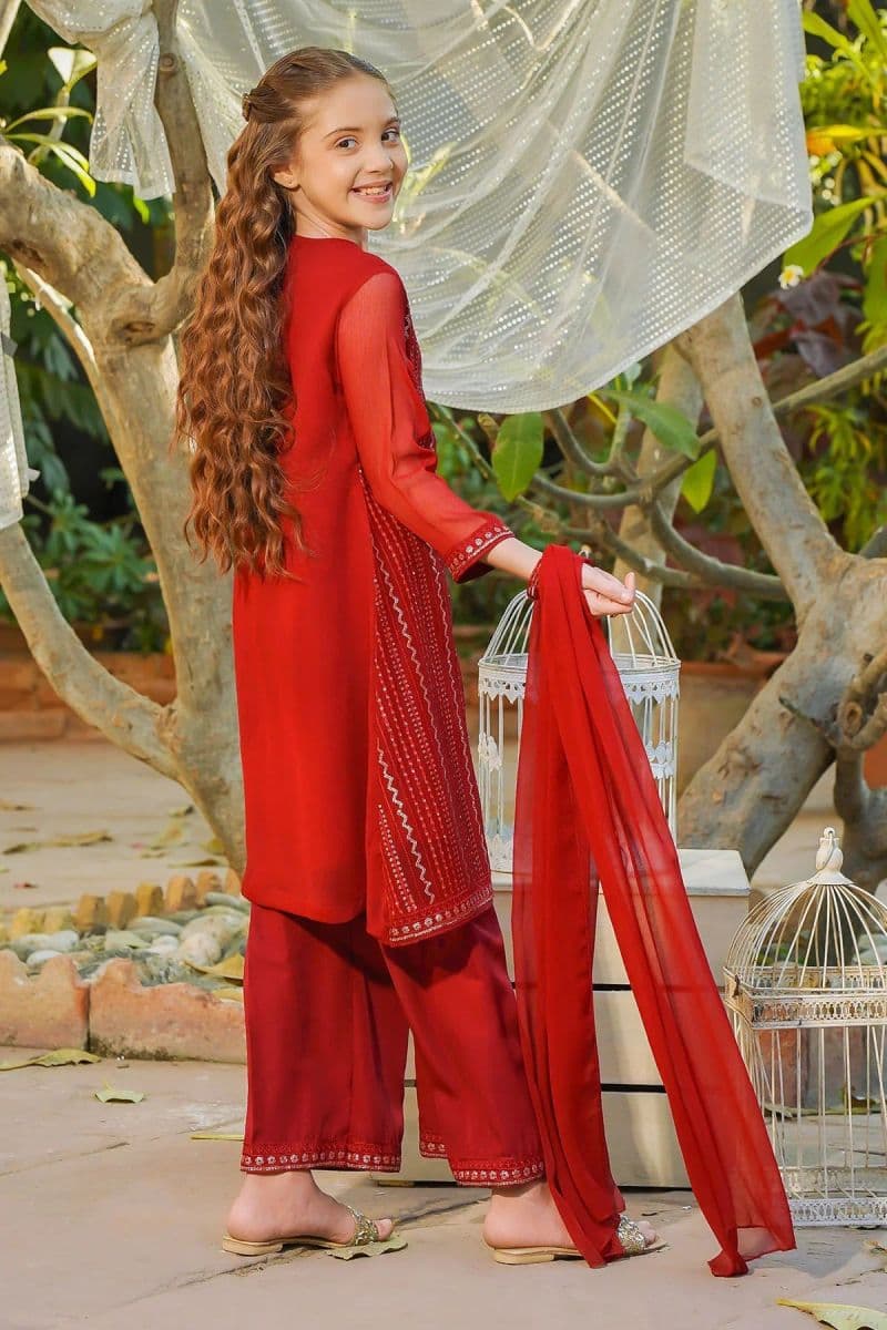 Chiffon Embroidered 3 Pc Suit thumbnail