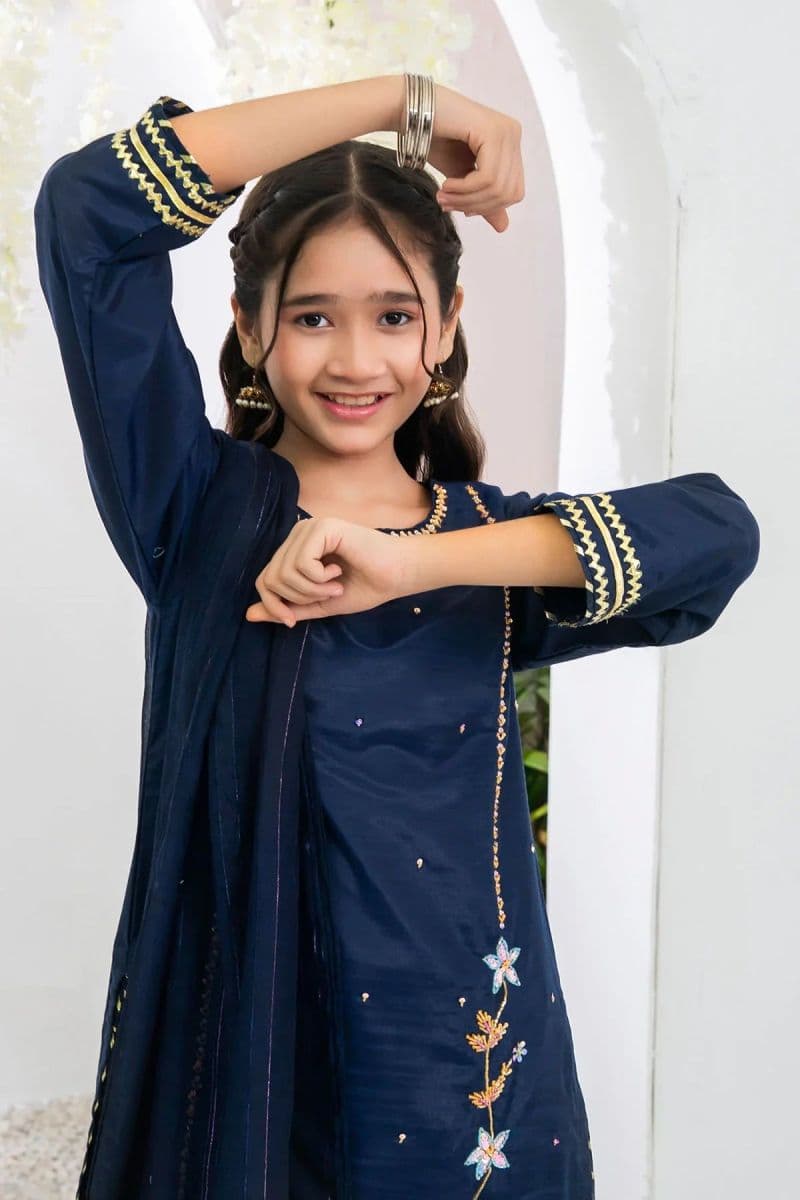 Chiffon Hand Adda Work 3 Pc Suit