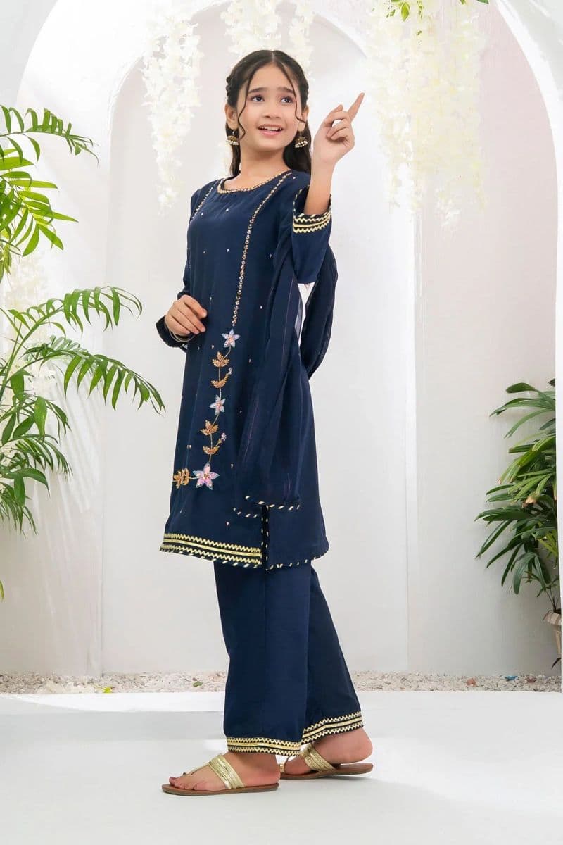 Chiffon Hand Adda Work 3 Pc Suit