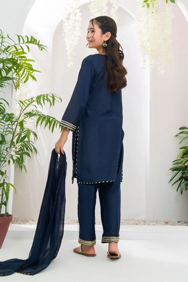 Chiffon Hand Adda Work 3 Pc Suit
