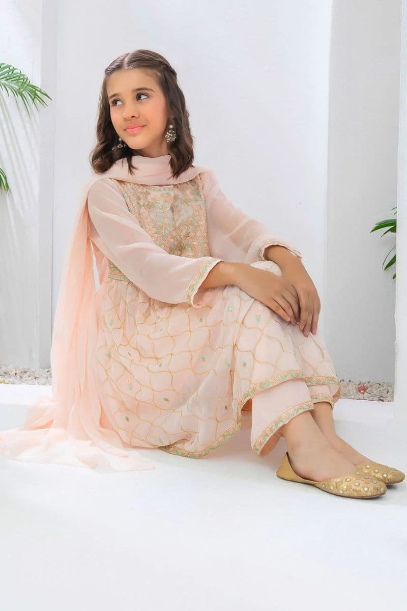 Chiffon Embroidered 3 Pc Suit