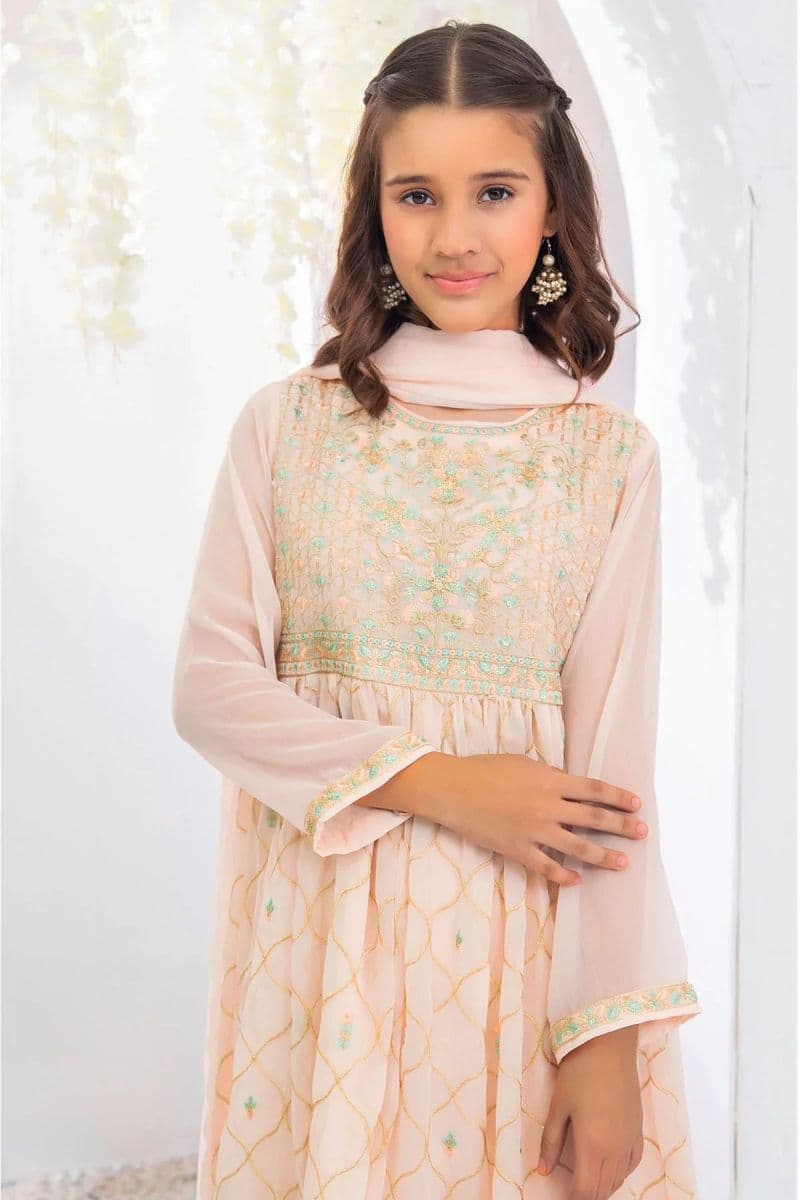 Chiffon Embroidered 3 Pc Suit