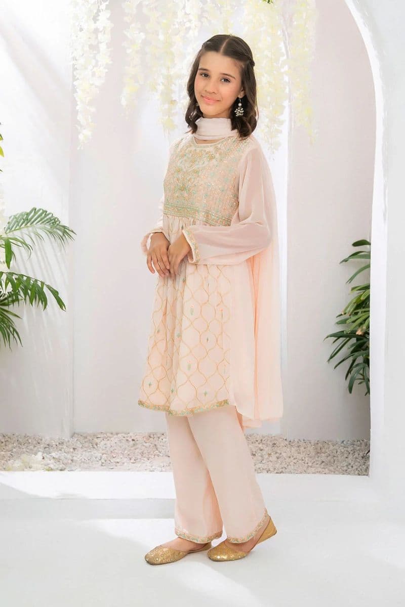 Chiffon Embroidered 3 Pc Suit