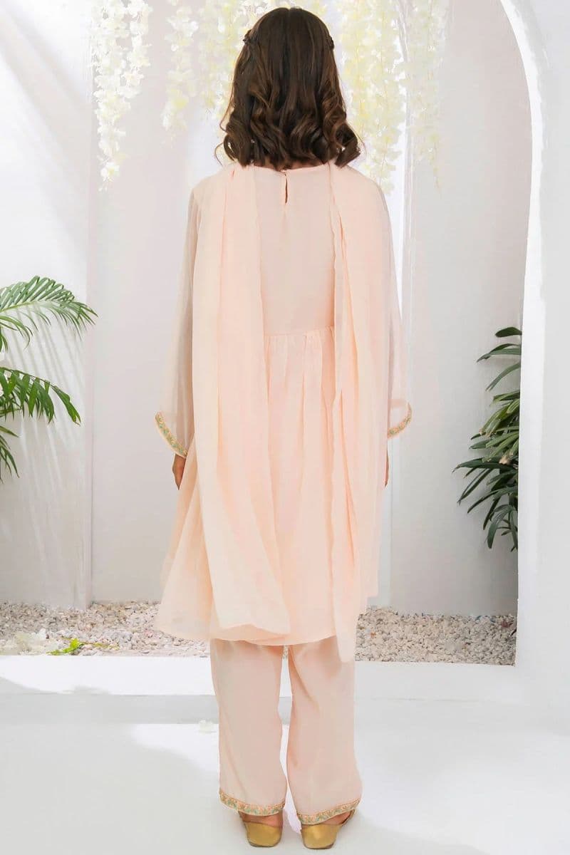 Chiffon Embroidered 3 Pc Suit
