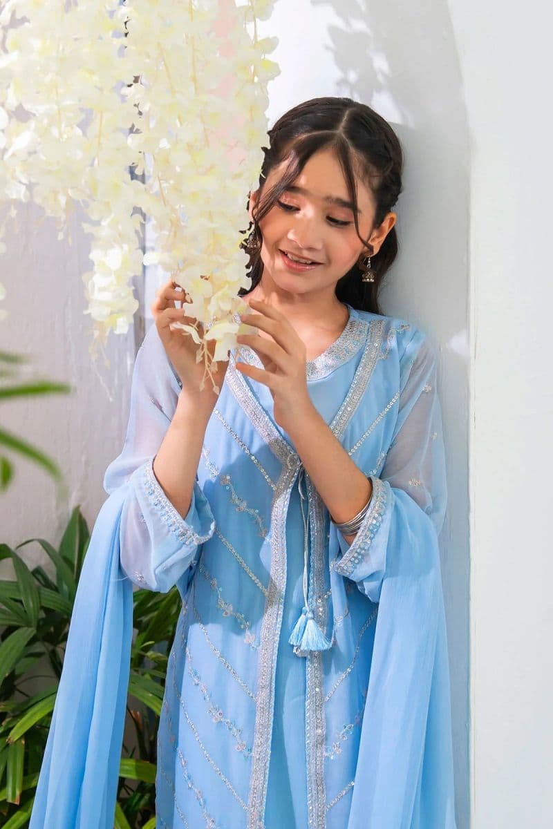 Chiffon Embroidered 3 Pc Suit