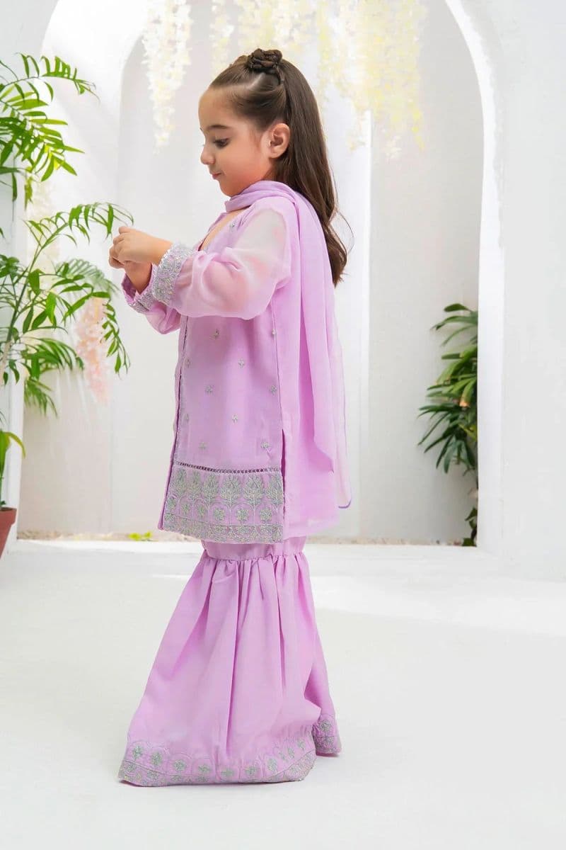 Chiffon Embroidered 3 Pc Suit
