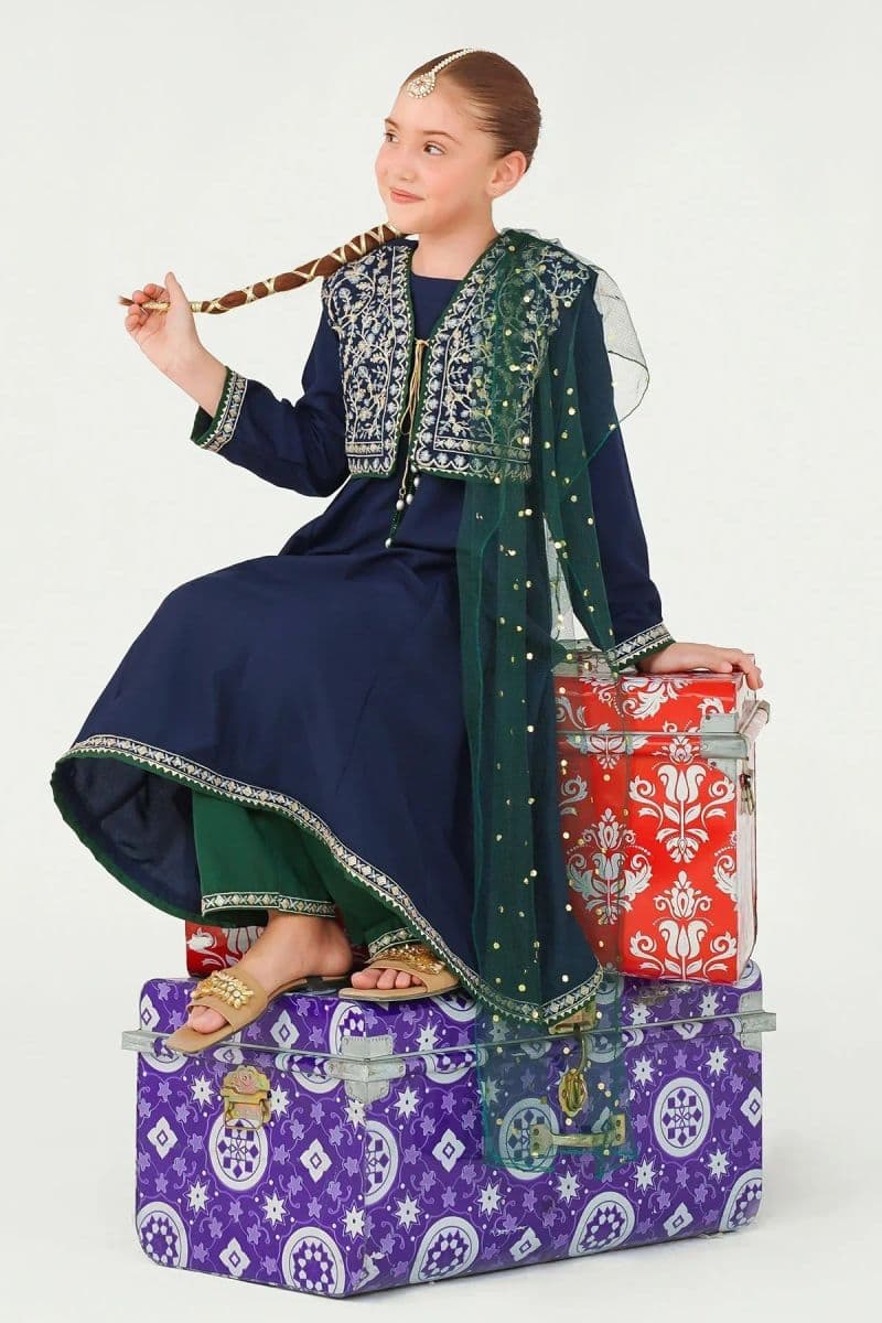 Raw Silk Embroidered 3 Pc Suit