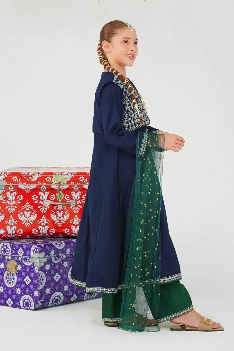 Raw Silk Embroidered 3 Pc Suit