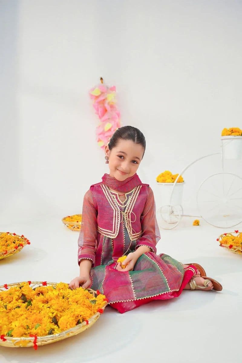 Khaddi Net Embellished 3 Pc Suit thumbnail