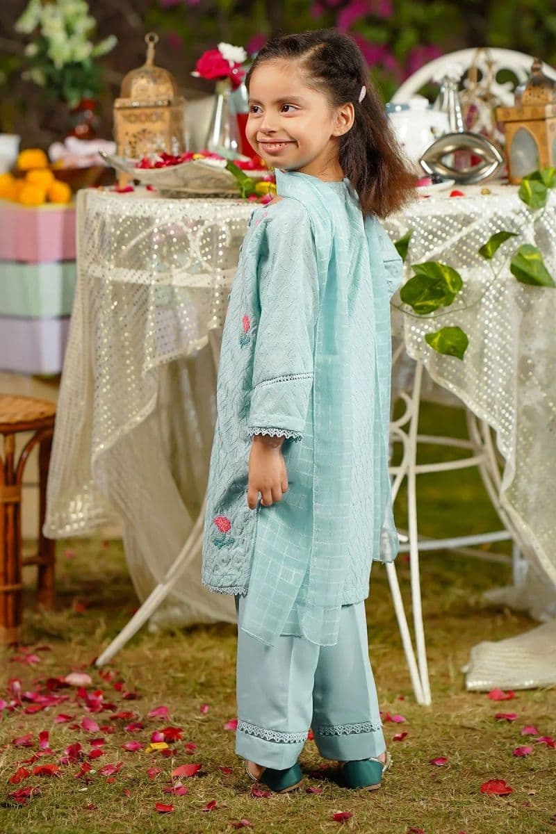 Chikankari Embroidered 3 Pc Suit thumbnail