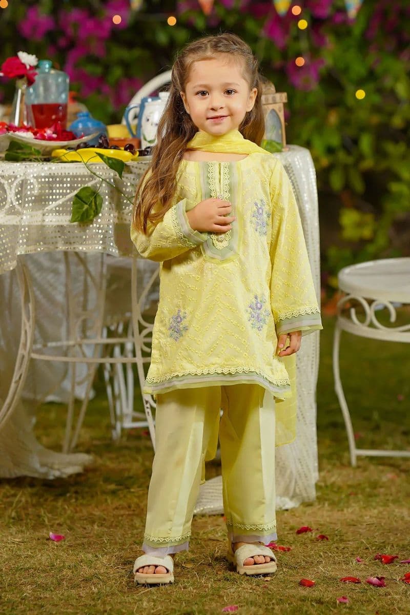 Chikankari Embroidered 3 Pc Suit thumbnail