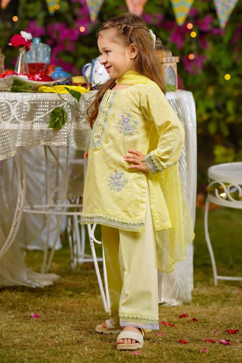 Chikankari Embroidered 3 Pc Suit thumbnail