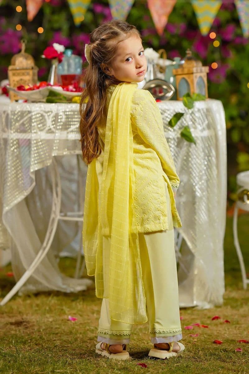 Chikankari Embroidered 3 Pc Suit thumbnail