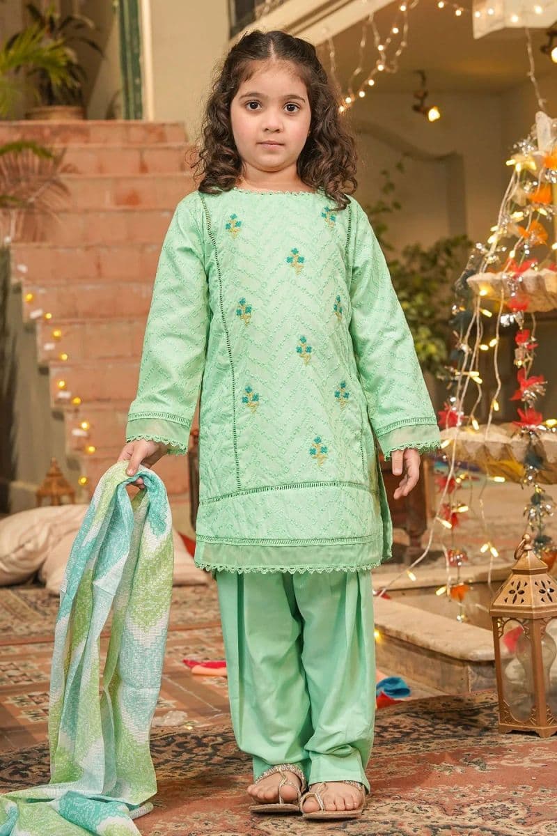 Chikankari Embroidered 3 Pc Suit thumbnail