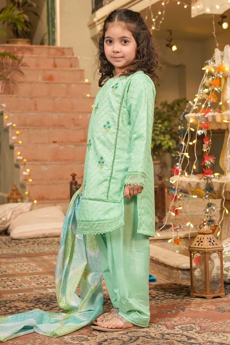 Chikankari Embroidered 3 Pc Suit thumbnail