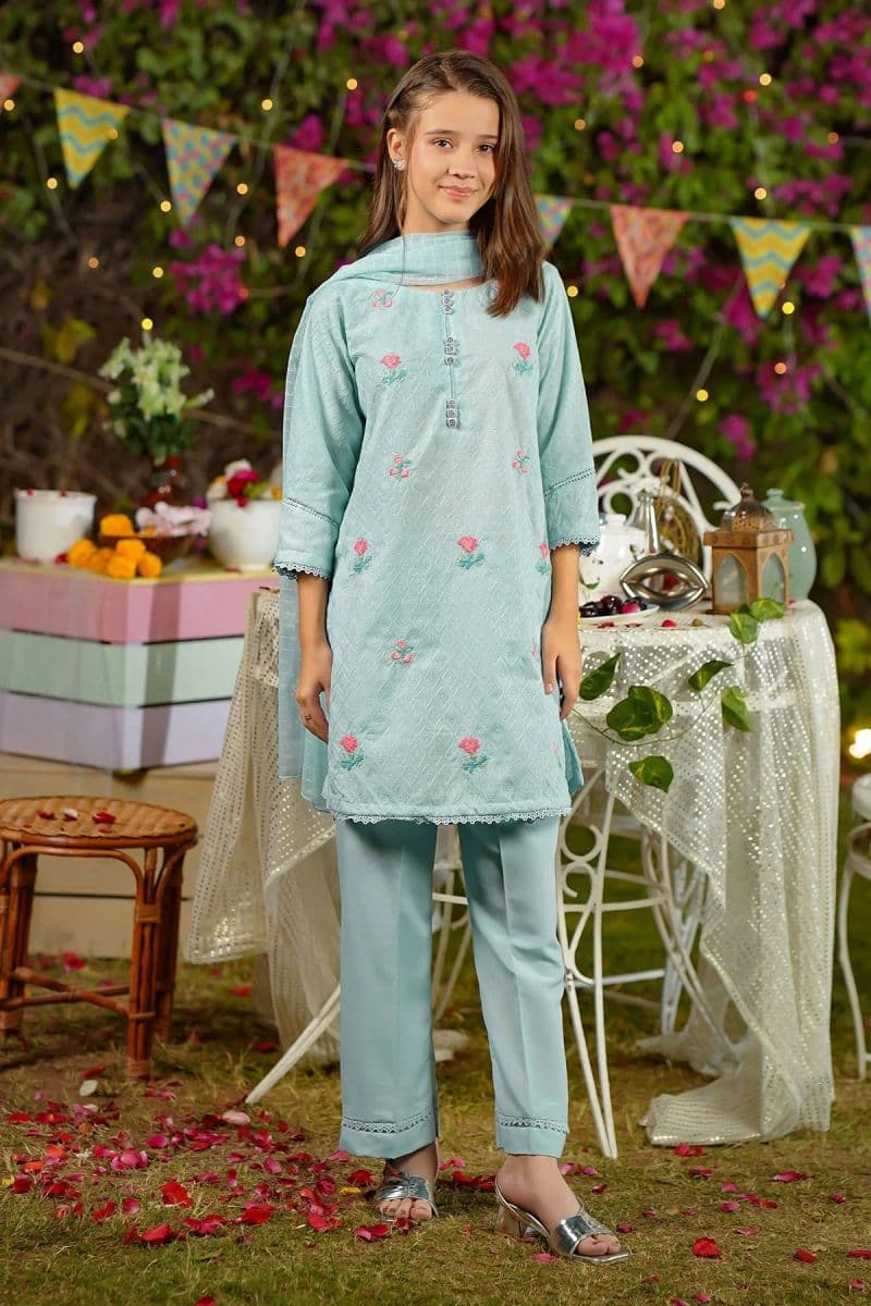 Chikankari Embroidered 3 Pc Suit thumbnail
