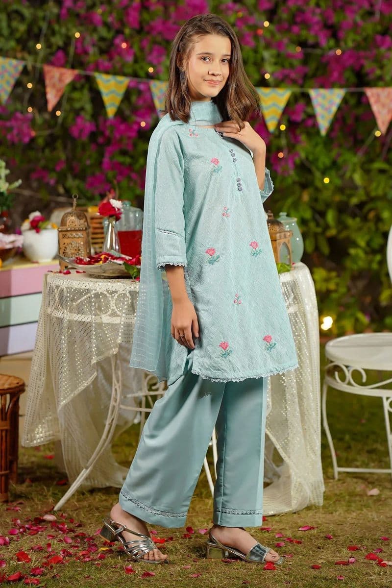 Chikankari Embroidered 3 Pc Suit thumbnail
