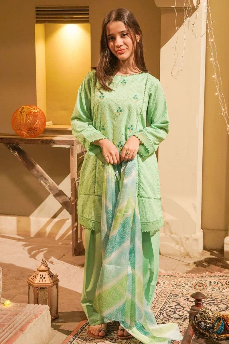 Chikankari Embroidered 3 Pc Suit thumbnail