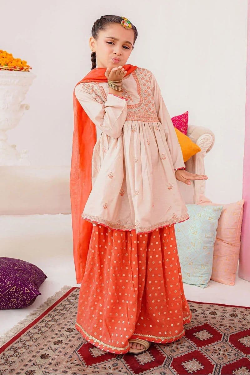 Cotton Silk Embroidered 3 Pc Suit thumbnail