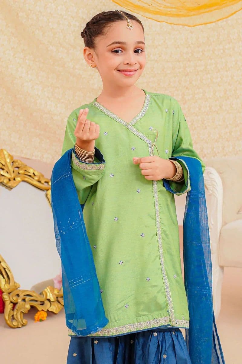Cotton Silk Embroidered 3 Pc Suit thumbnail
