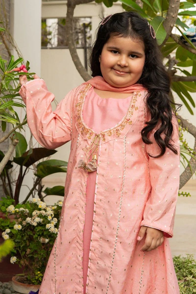 Viscose Jacquard Hand Adda Work 3 Pc Suit thumbnail