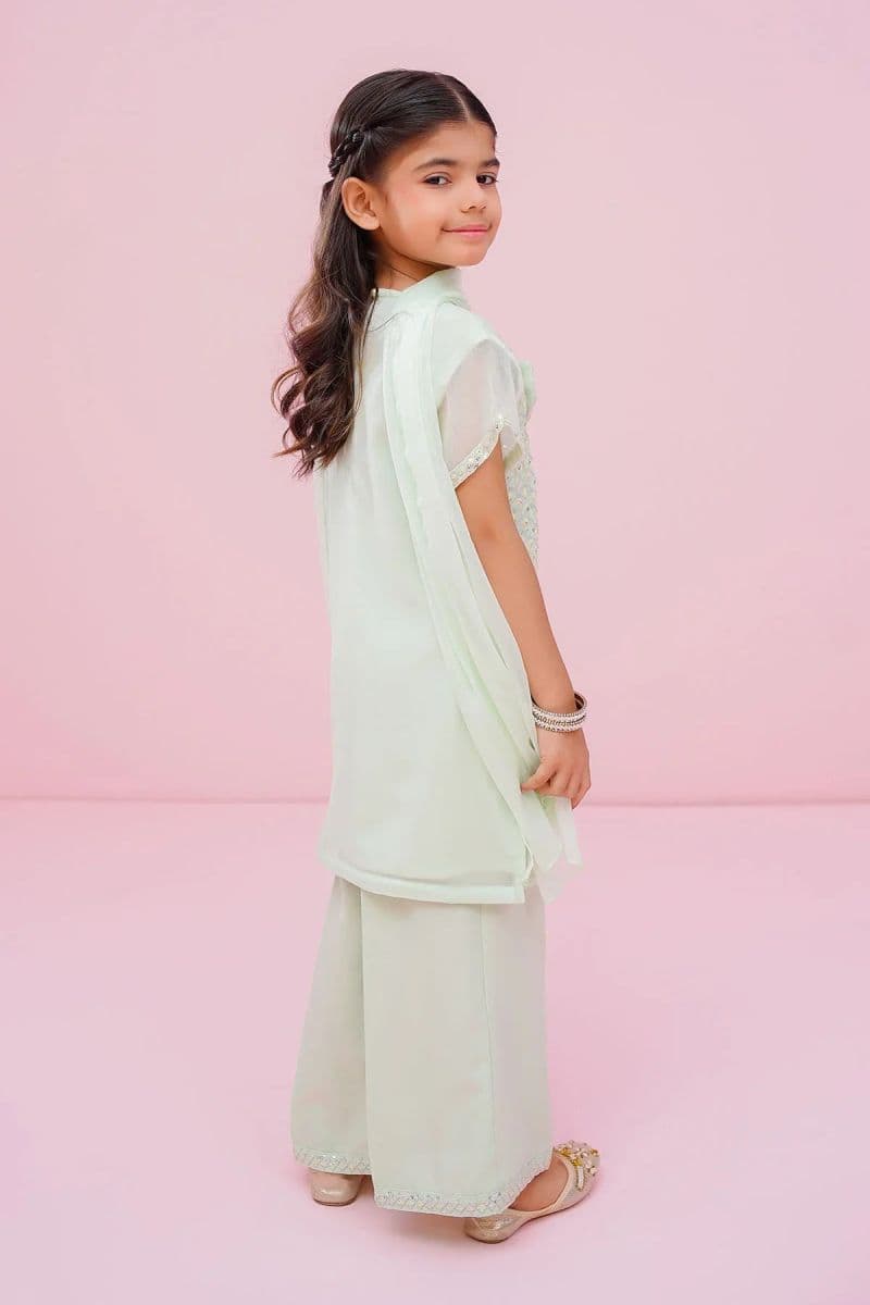 Chiffon Embroidered 3 Pc Suit thumbnail