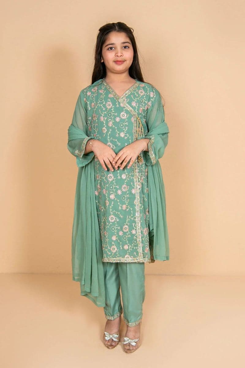 Chiffon Embroidered 3 Pc Suit thumbnail