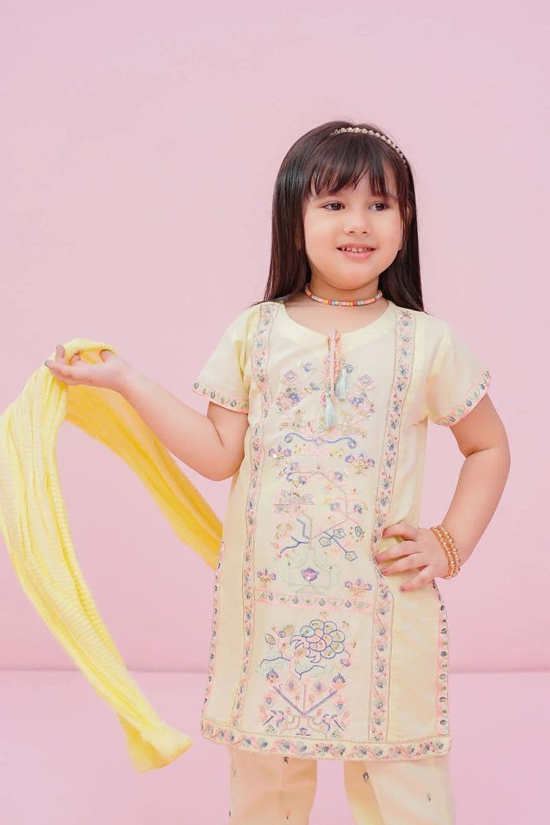 Cotton Embroidered 3 Pc Suit