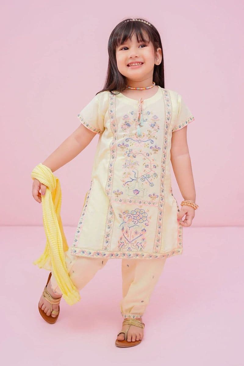 Cotton Embroidered 3 Pc Suit