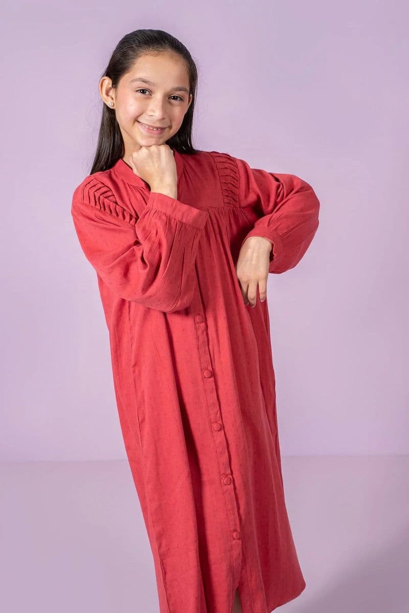 Chambray Cotton Dress thumbnail