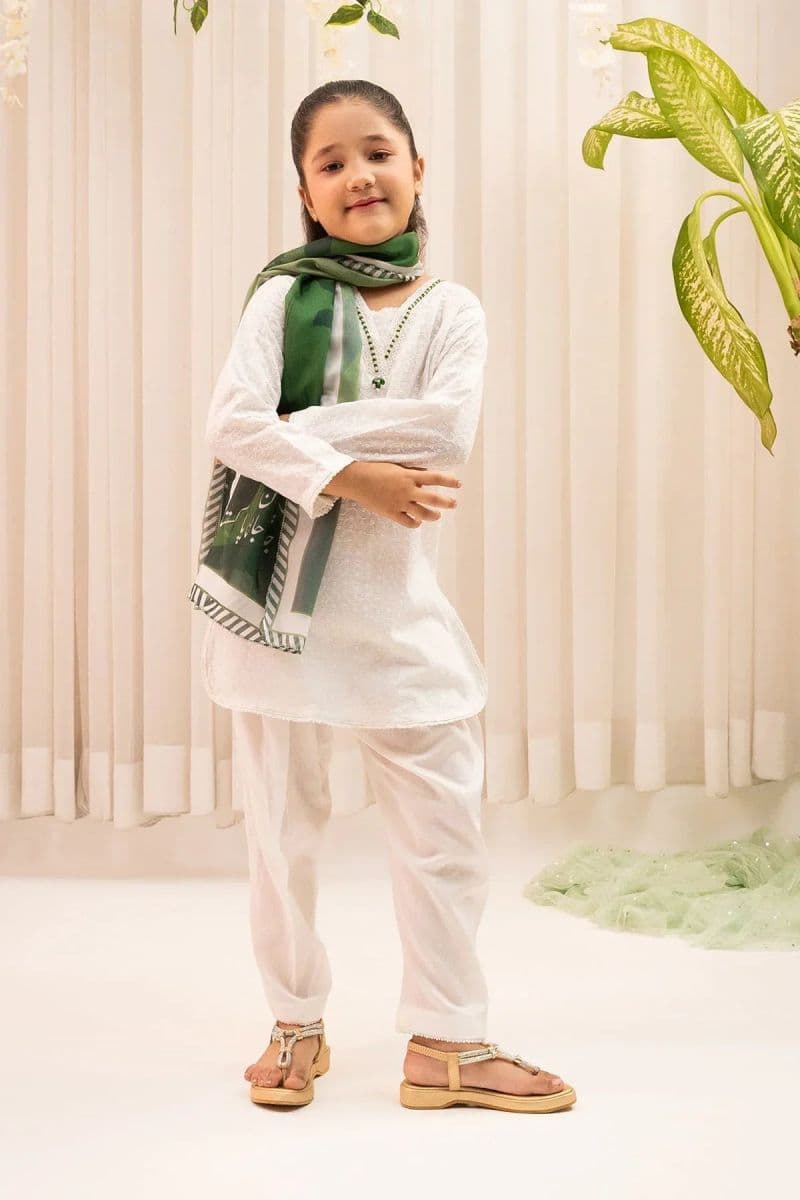 Chikankari 3 Pc Suit thumbnail