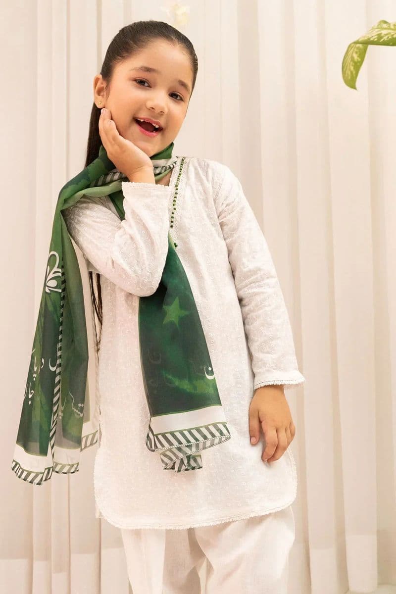 Chikankari 3 Pc Suit thumbnail