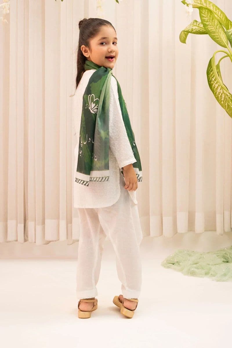 Chikankari 3 Pc Suit thumbnail