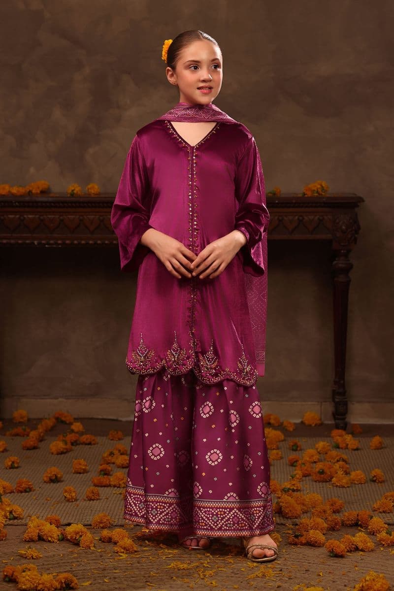 Velvet Hand Adda Work 3 Pc Suit