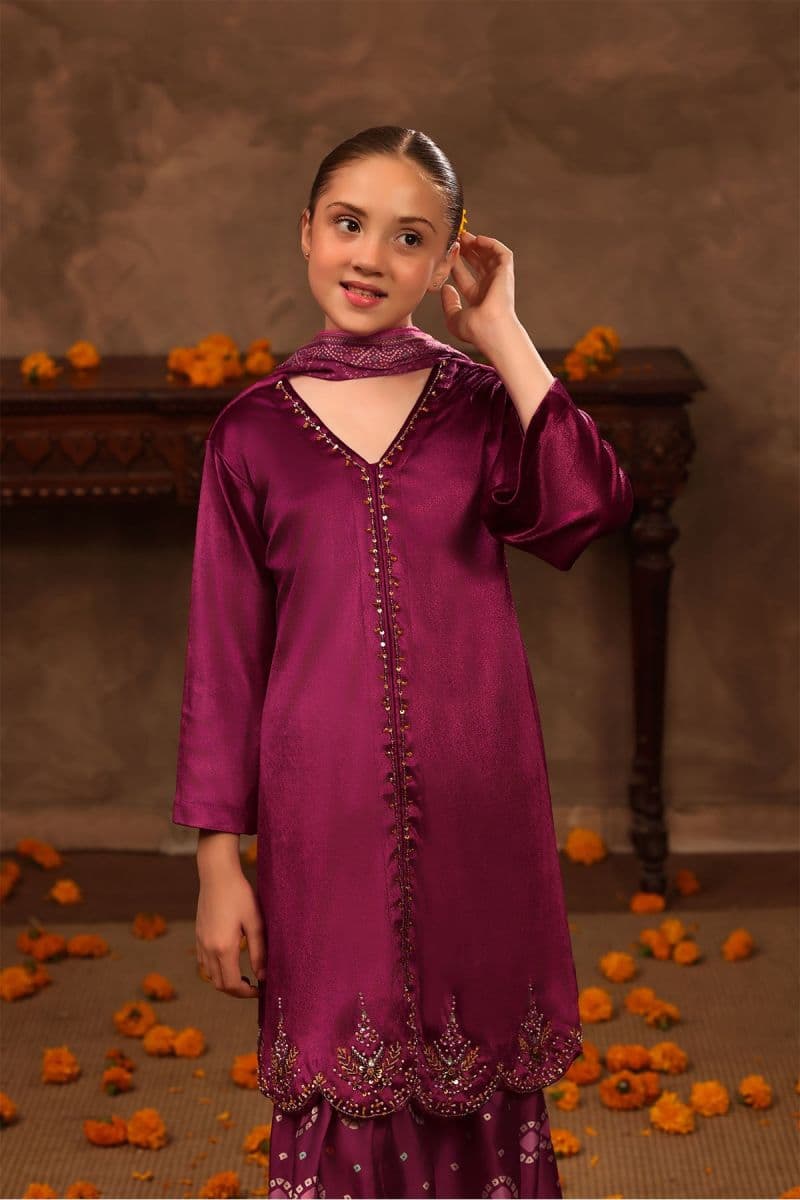 Velvet Hand Adda Work 3 Pc Suit