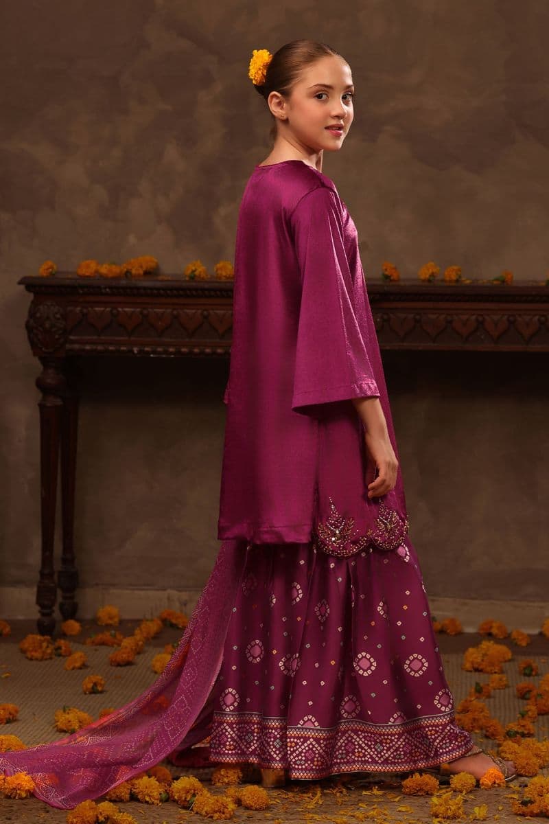 Velvet Hand Adda Work 3 Pc Suit