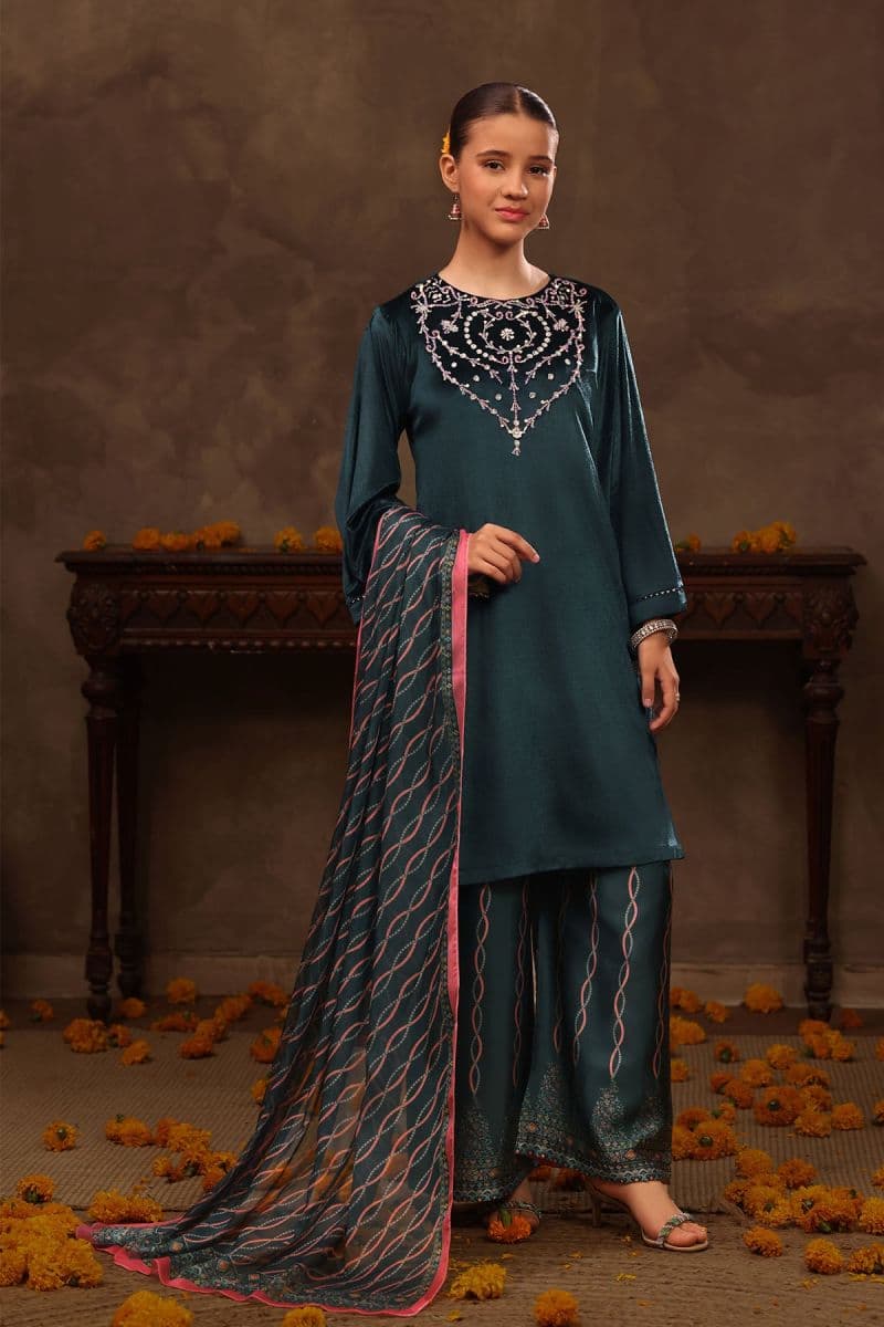 Velvet Hand Adda Work 3 Pc Suit