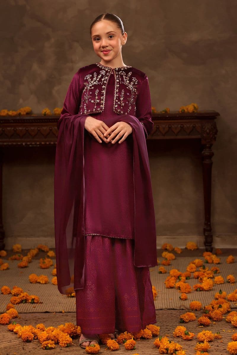 Velvet Hand Adda Work 3 Pc Suit