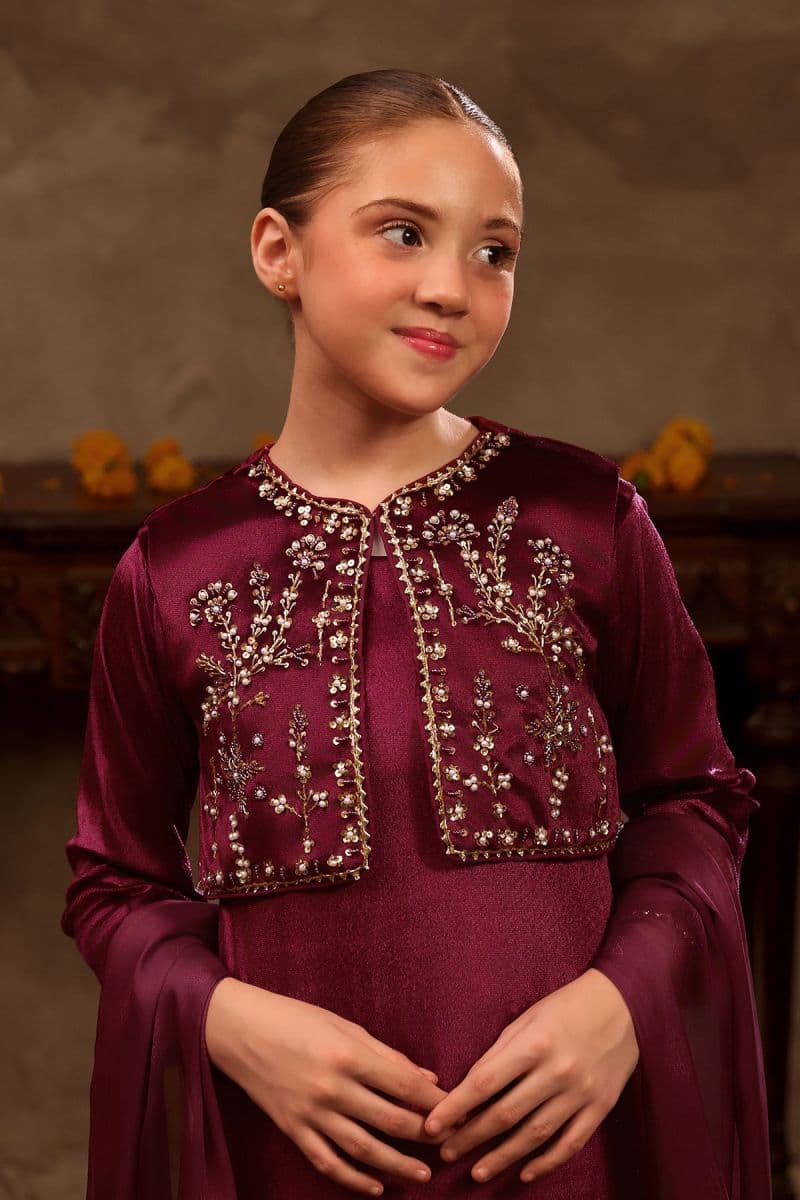 Velvet Hand Adda Work 3 Pc Suit