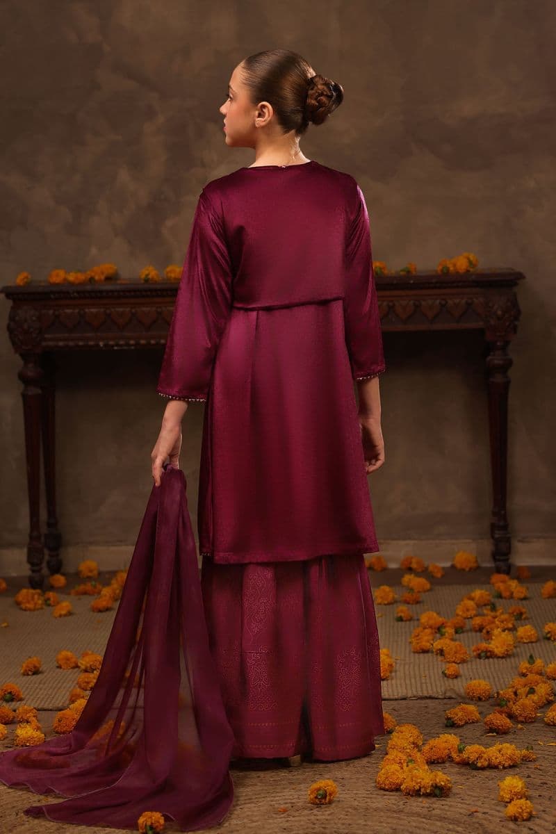 Velvet Hand Adda Work 3 Pc Suit