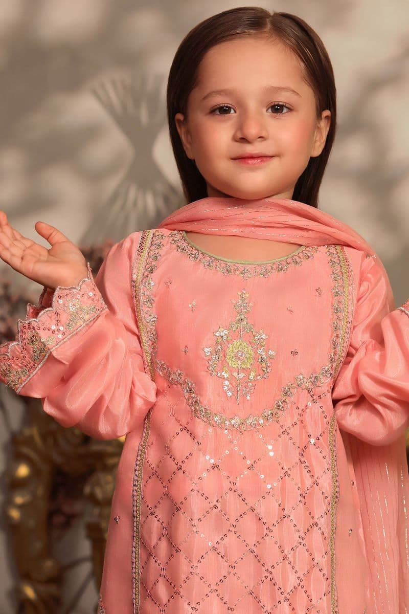 Cotton Silk Embroidered 3 Pc Suit