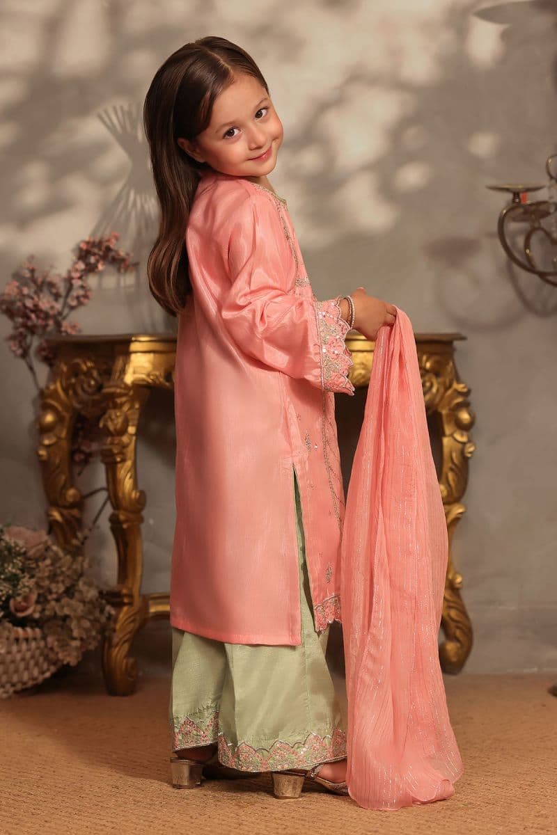 Cotton Silk Embroidered 3 Pc Suit