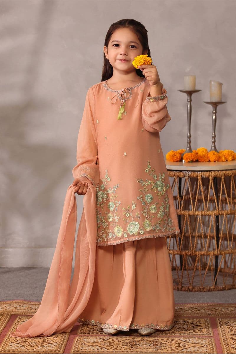 Chiffon Embroidered 3 Pc Suit