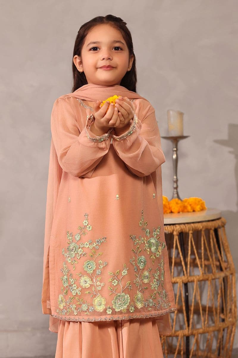 Chiffon Embroidered 3 Pc Suit