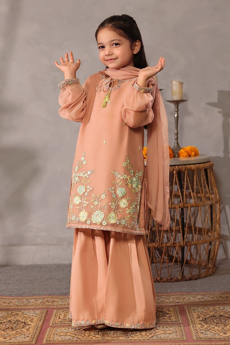 Chiffon Embroidered 3 Pc Suit