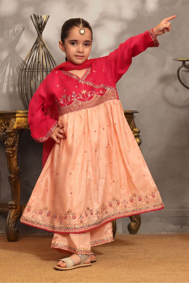 Cotton Silk Embroidered 3 Pc Suit