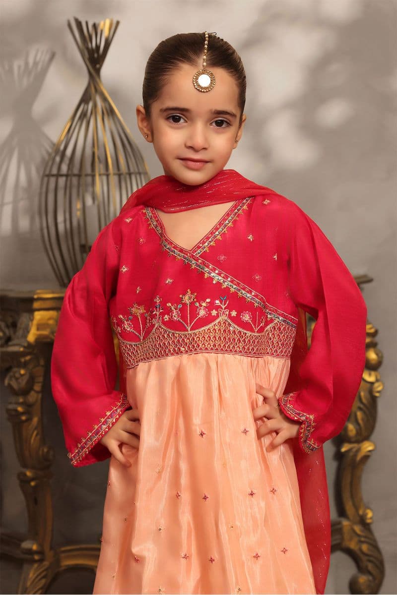 Cotton Silk Embroidered 3 Pc Suit