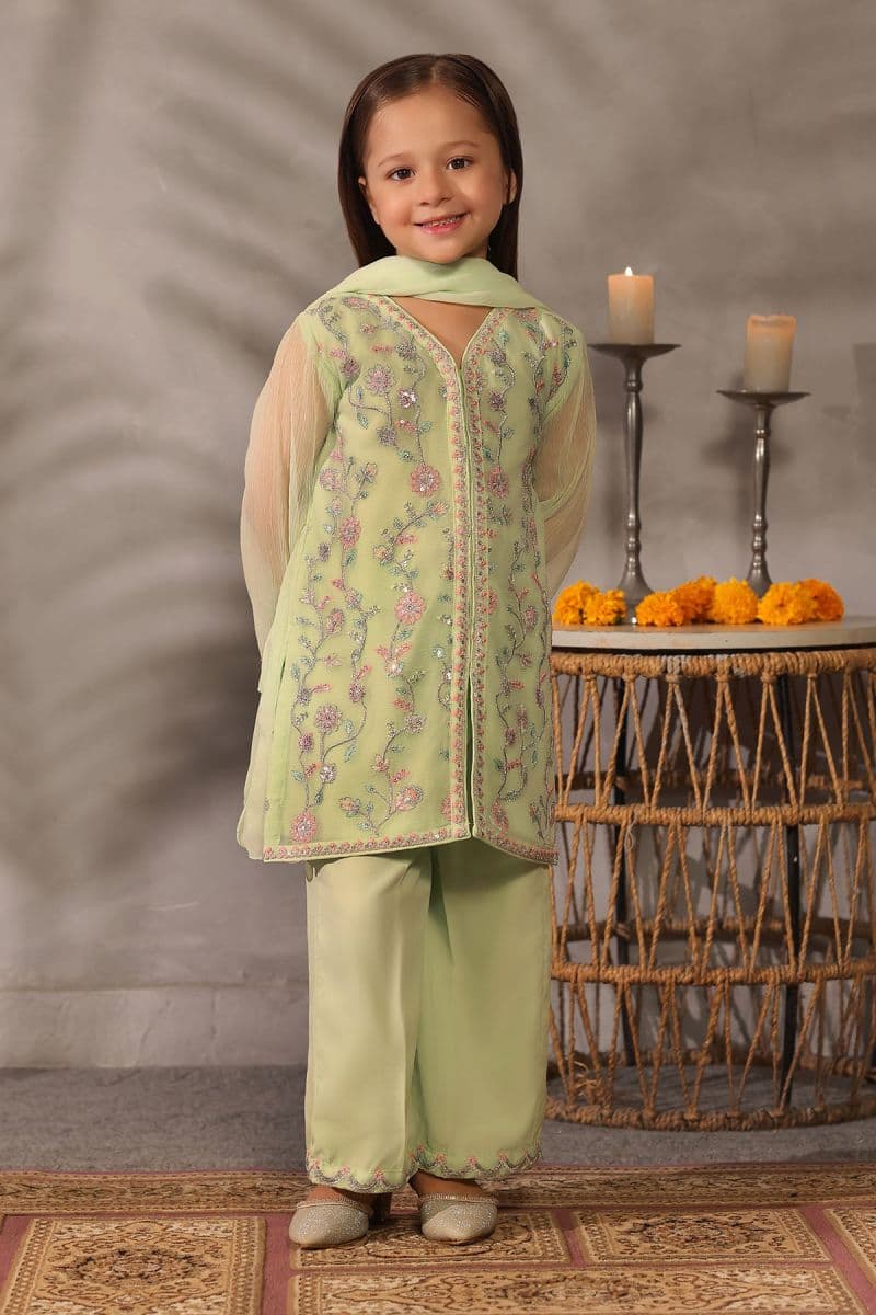 Chiffon Embroidered 3 Pc Suit